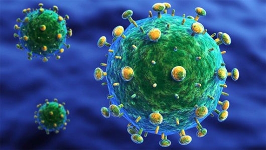 Nghiên cứu độc tố trị HIV “ẩn nấp” có kết quả đầy hứa hẹn